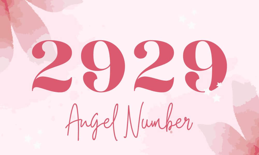 2929 Angel Number: Meaning, Love & Guidance